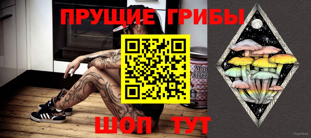 Галлюциногенные грибы прущие грибы Ачхой-Мартан