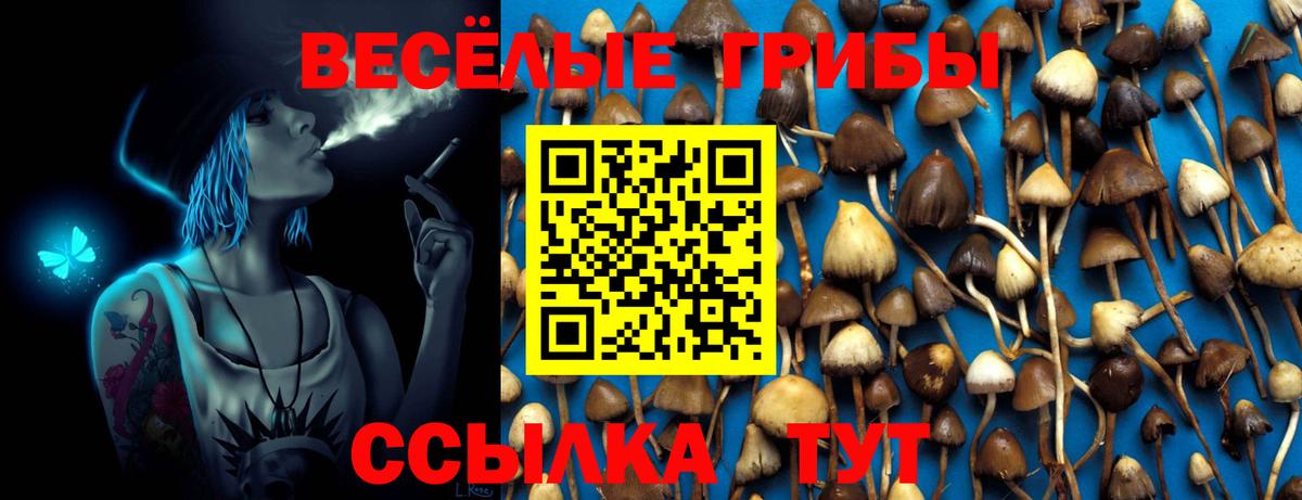 Галлюциногенные грибы GOLDEN TEACHER  Вход с VPN  Галлюциногенные грибы Psilocybe  Ачхой-Мартан 